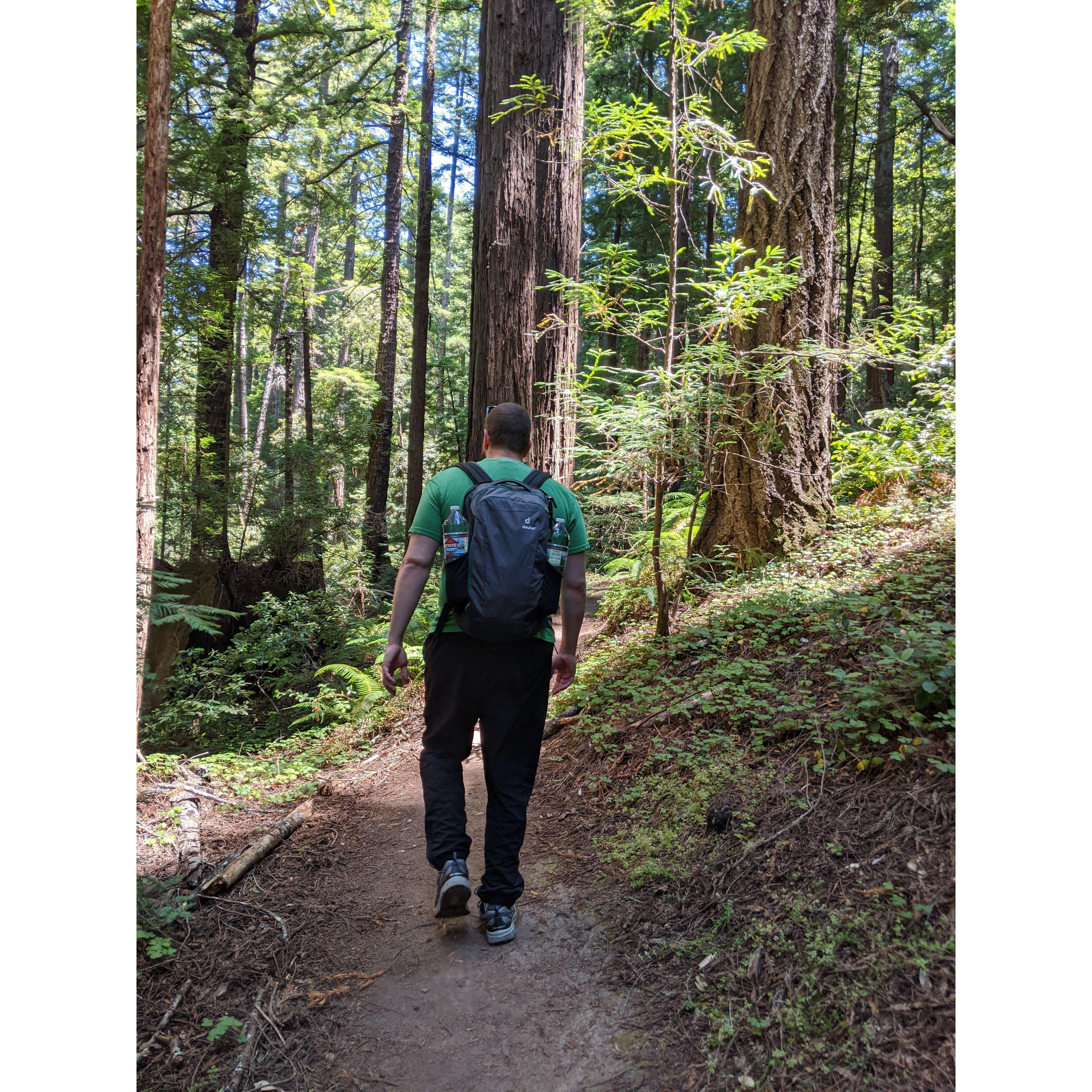 Hiking in Butano State Park. Pescadero, California. July 2020.