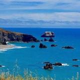 Bodega Bay
