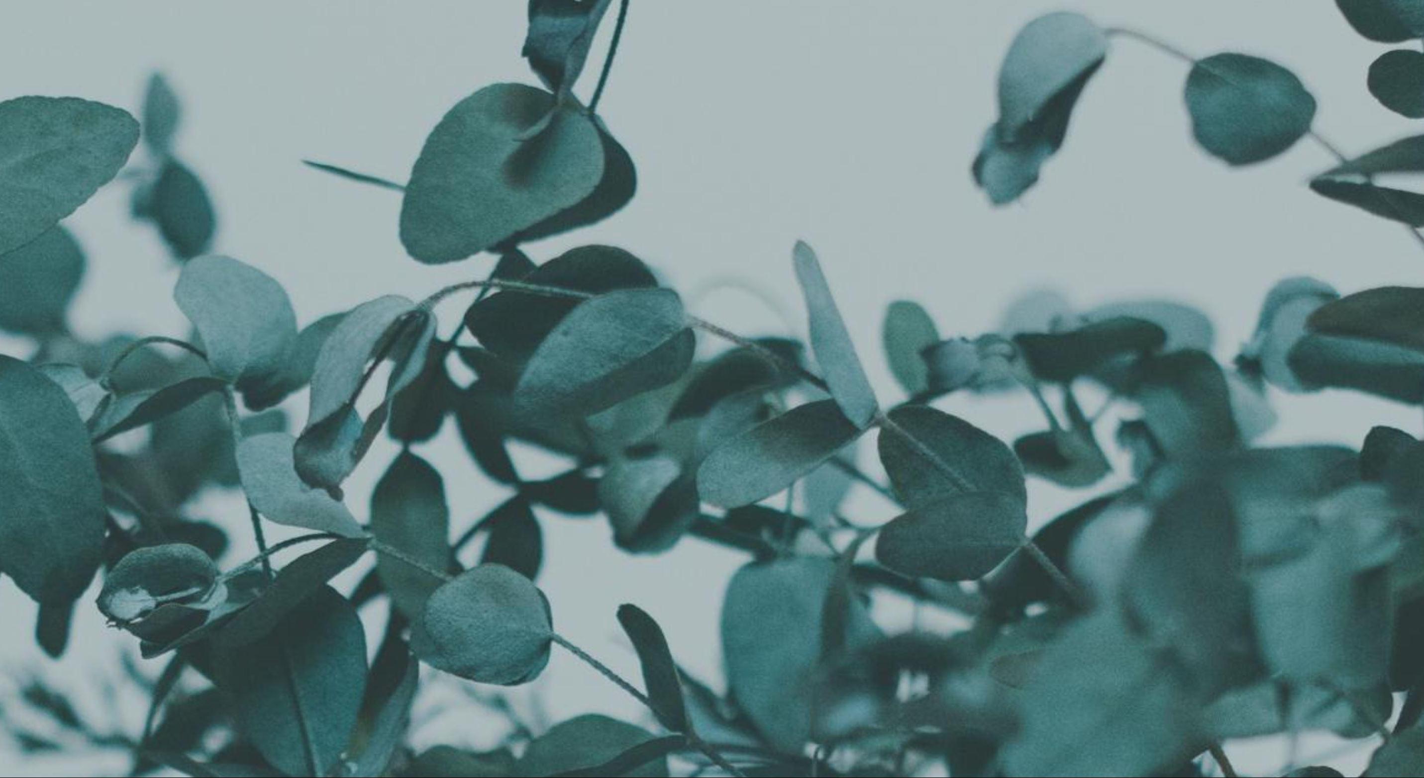 Footer image