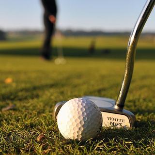 Golf Lesson with a PGA Pro: 1 Hour Private Lesson for 1 - Dallas