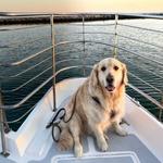 What to do in Cape Cod