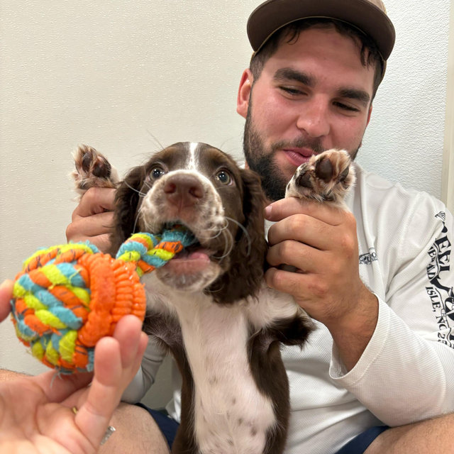 Puppy Fund …. One day