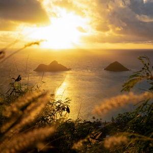 Honeymoon - Sunsrise Excersion