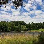 Lake Greenwood State Park