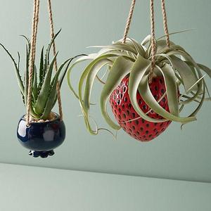 Hanging Fruit Pot