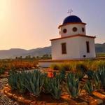 Adobe Guadalupe Vineyard