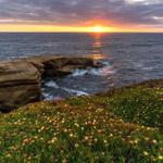 Sunset Cliffs