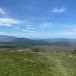 Max Patch