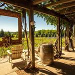 Wine Flights at Bowers Harbor Vineyard