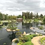 The Japanese Garden