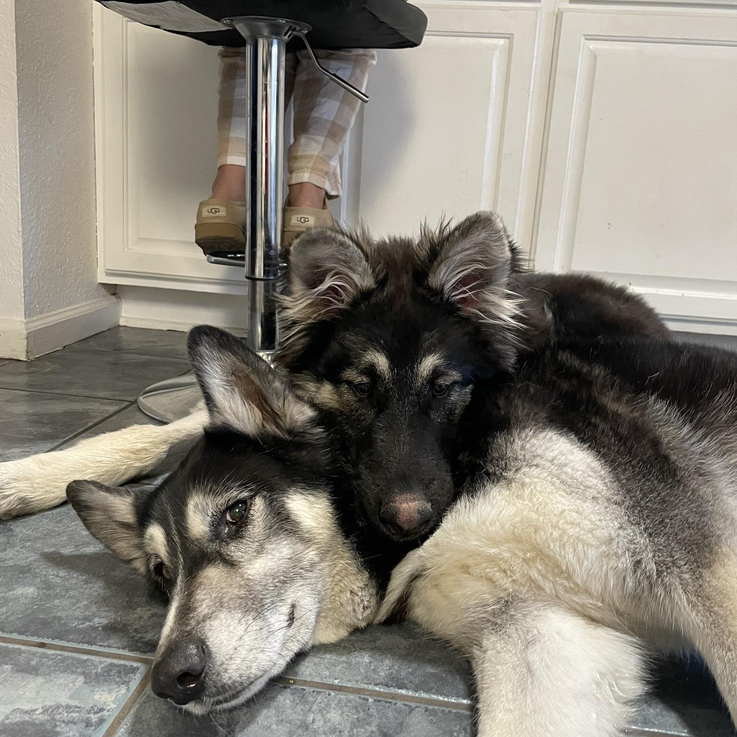 Togi once again with no boundaries with Max