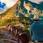 Horseback Riding