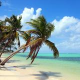 Bavaro beach punta cana