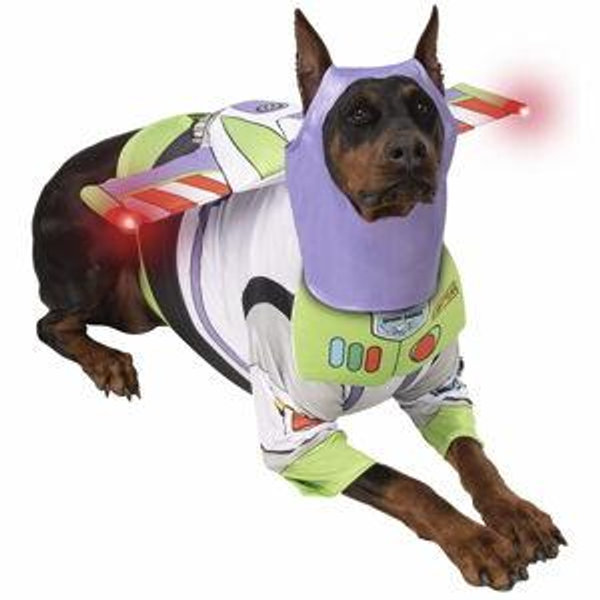 Miranda's future dog fund