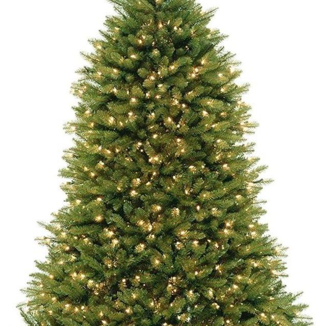 National Tree Company Pre-lit Artificial Christmas Tree | Includes Pre-strung White Lights, PowerConnect and Stand | Dunhill Fir - 7.5 ft