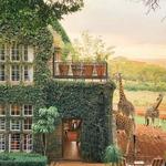 Giraffe Manor