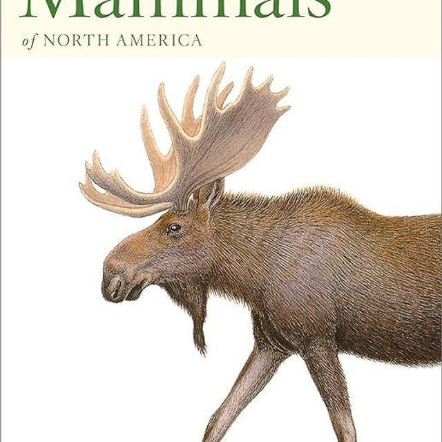 Peterson First Guide To Mammals Of North America
