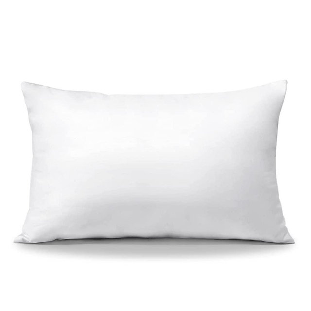 OTOSTAR Throw Pillow Insert, 12 x 20 Cushion Inner Soft Fluffy Plump Stuffer Cushion Pad White Decorative Pillow Insert