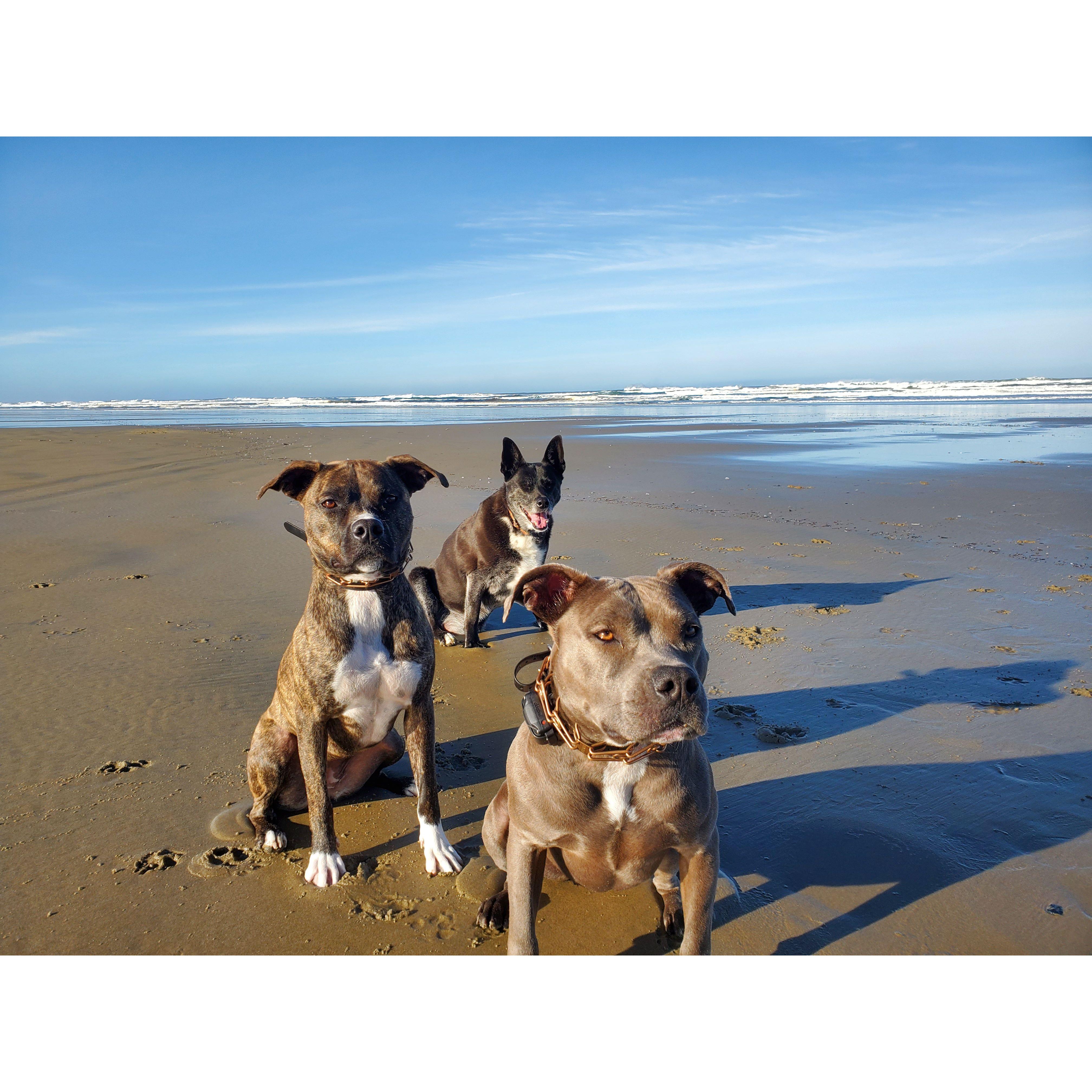 Enjoying the Oregon Coast