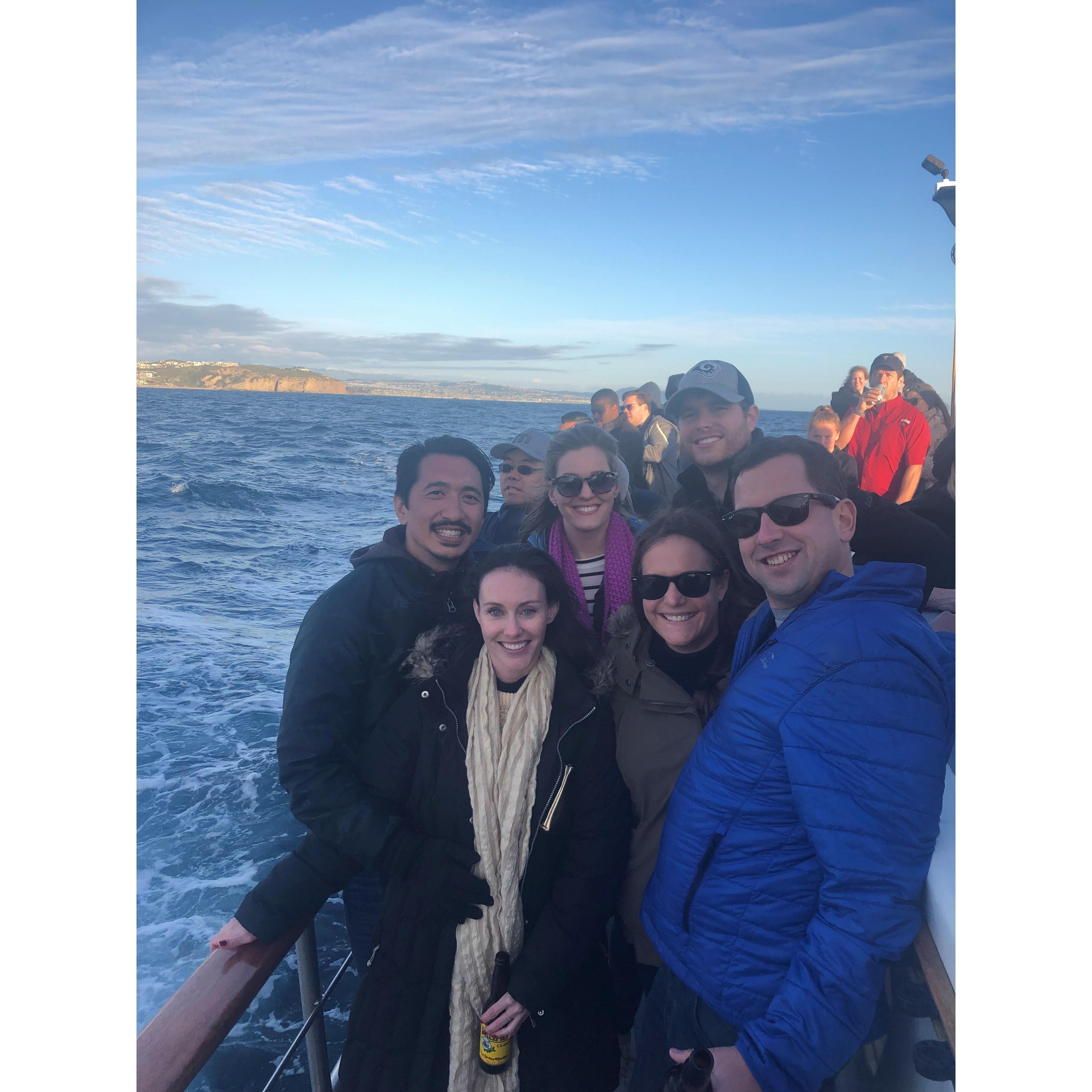 Whale watching at Dana Point