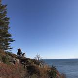 Cutler Coast Land Preserve