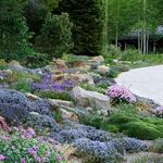 Betty Ford Alpine Gardens