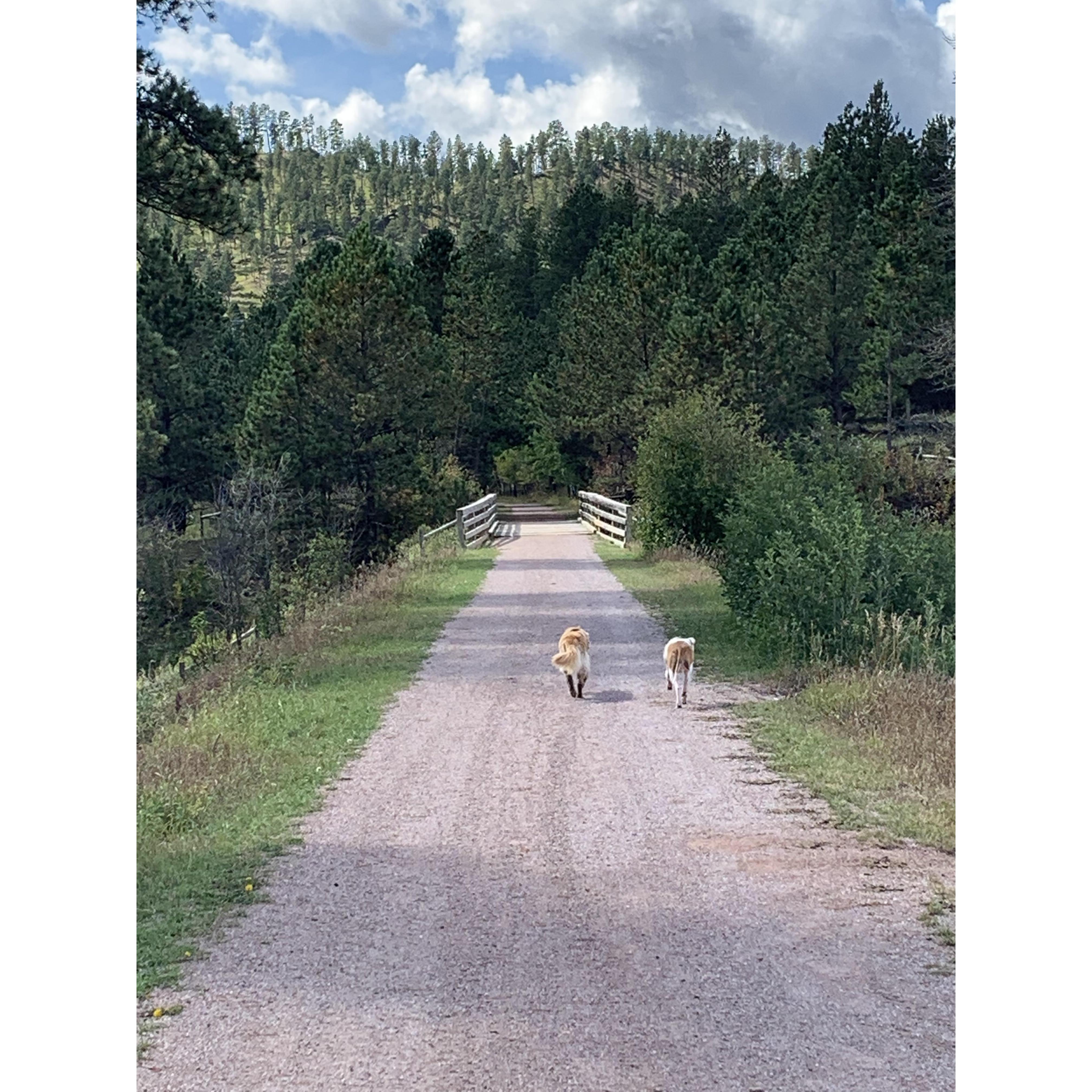The bridge where Nick proposed. We were hiking the Mickelson Trail. September 22nd 2019. <3