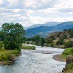 Fly Fishing