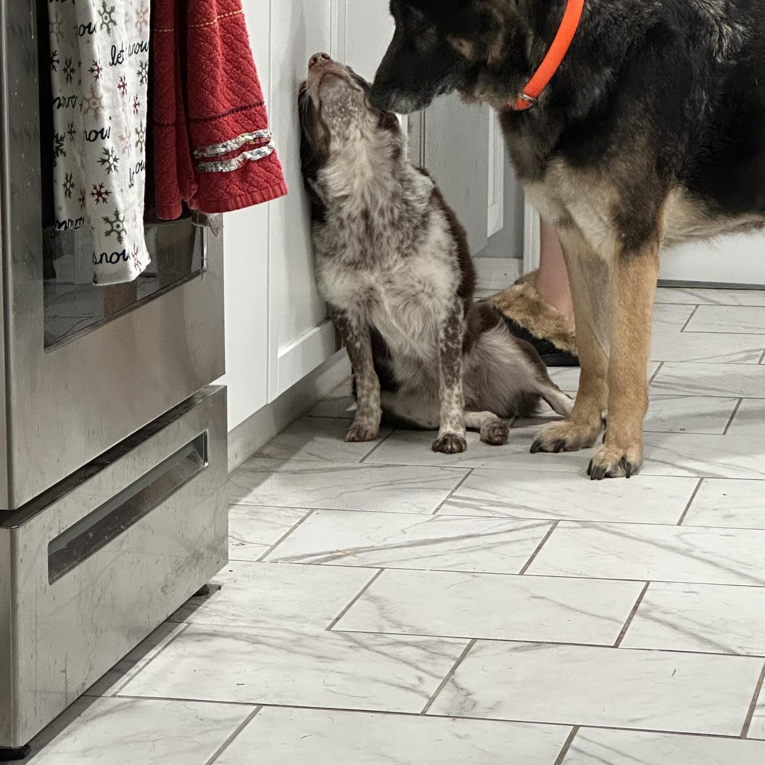 Our girls meeting