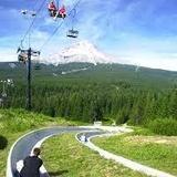 Adventure Park at Mt Hood Ski Bowl