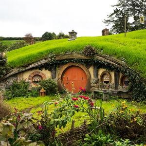 The Shire Exploration