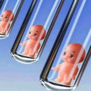 Baby Fund (credit card with processing fee)