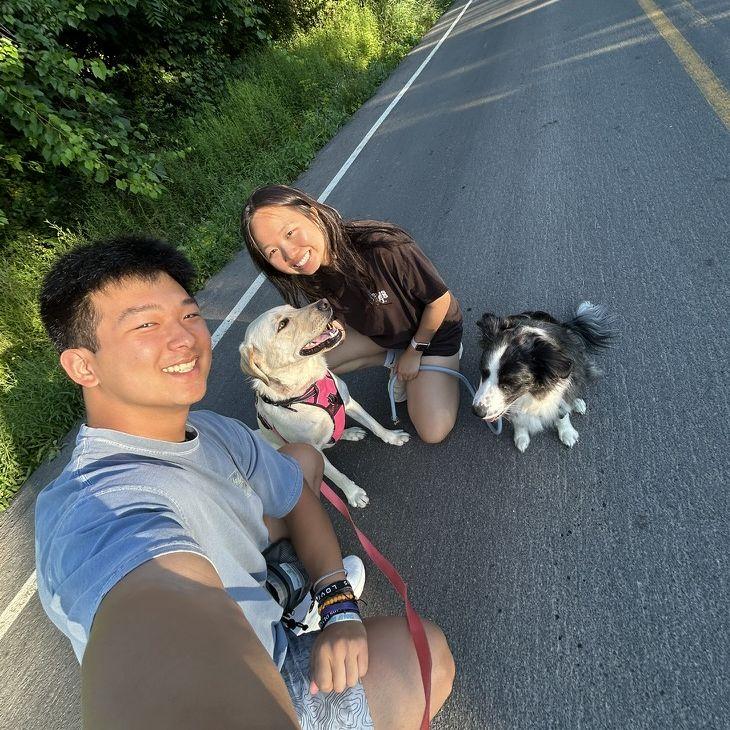 Lots of dog walks