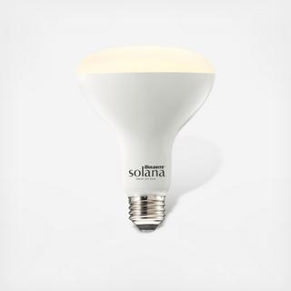 Solana 65 Watt Smart WIFI Connected LED Ceiling Light Bulb