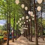 Nami Island