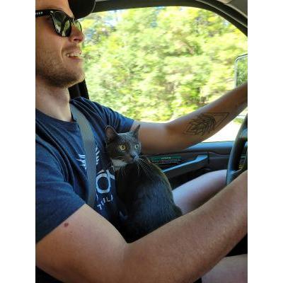 On our way to move in together