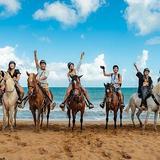 Tropical Trail Rides