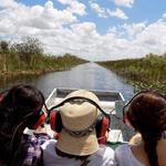 Airboat Tours Fort Lauderdale