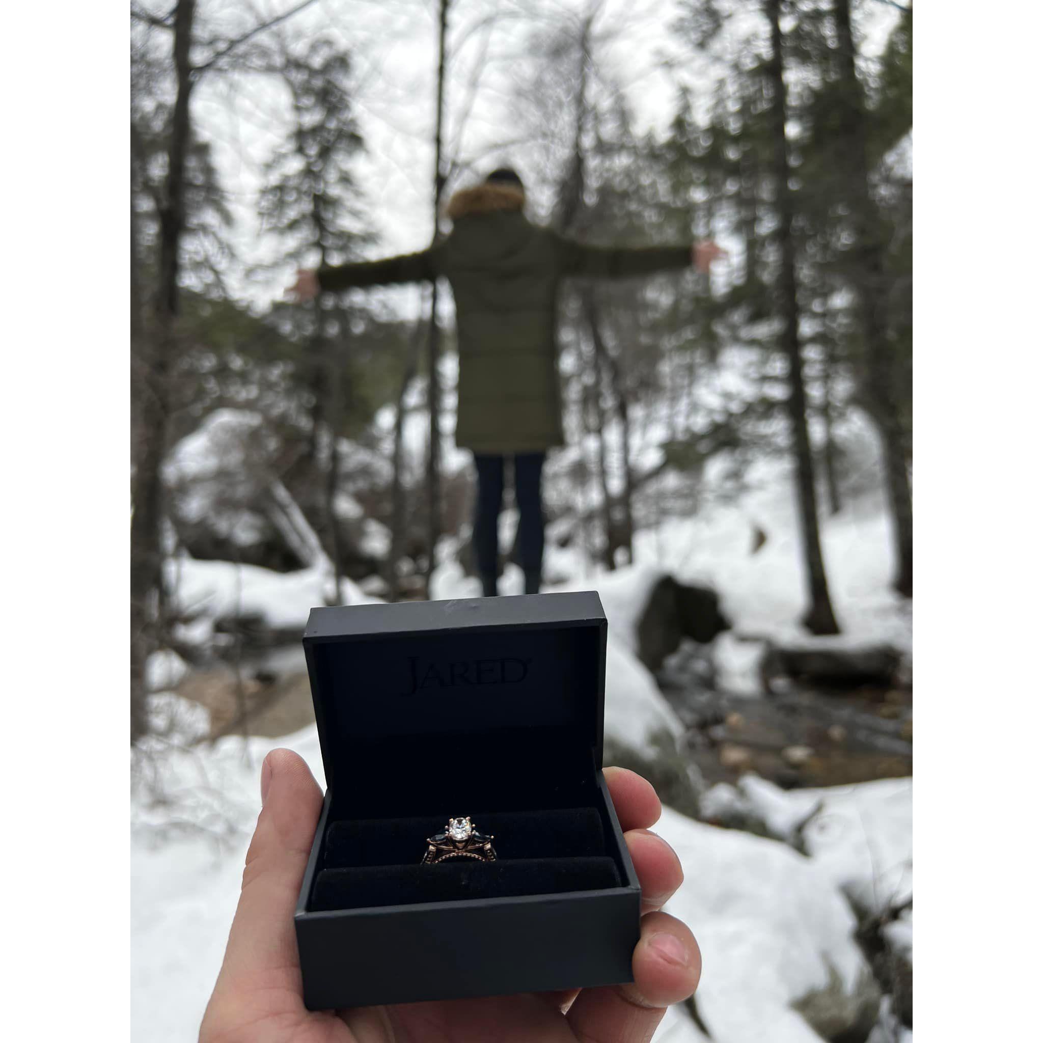 The best surprise ever!