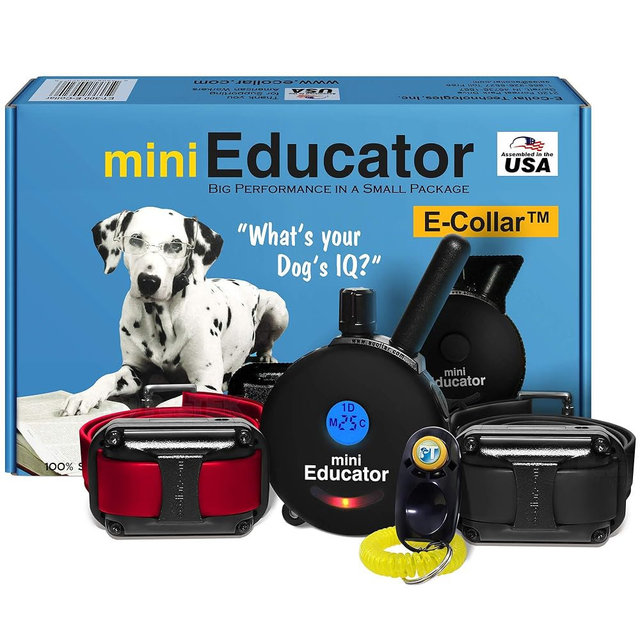 Educator ET-302 Black Mini E Collar for Dog Training with Remote - 1/2 Mile Range, Waterproof, 100 Blunt Stimulation Levels, Tone or Vibration Mode, Night Light for Small, Medium & Large Dogs (2 Dogs)