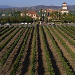 South Coast Winery Resort & Spa