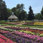 CSU Annual Flower Trial Gardens