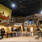 Cleveland Museum of Natural History
