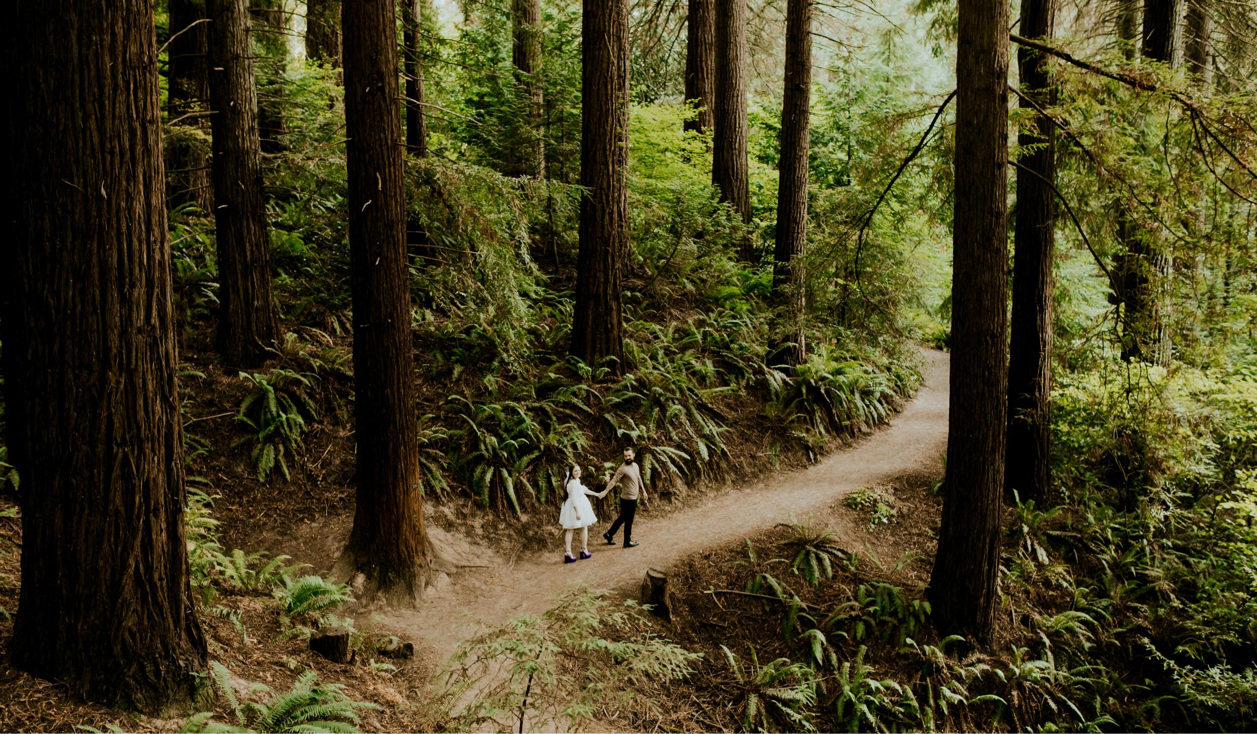 Footer image