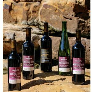 Aggie Network Connection - Messina Hof Winery