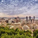 Mount Royal Lookout