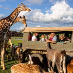 Global Wildlife Center