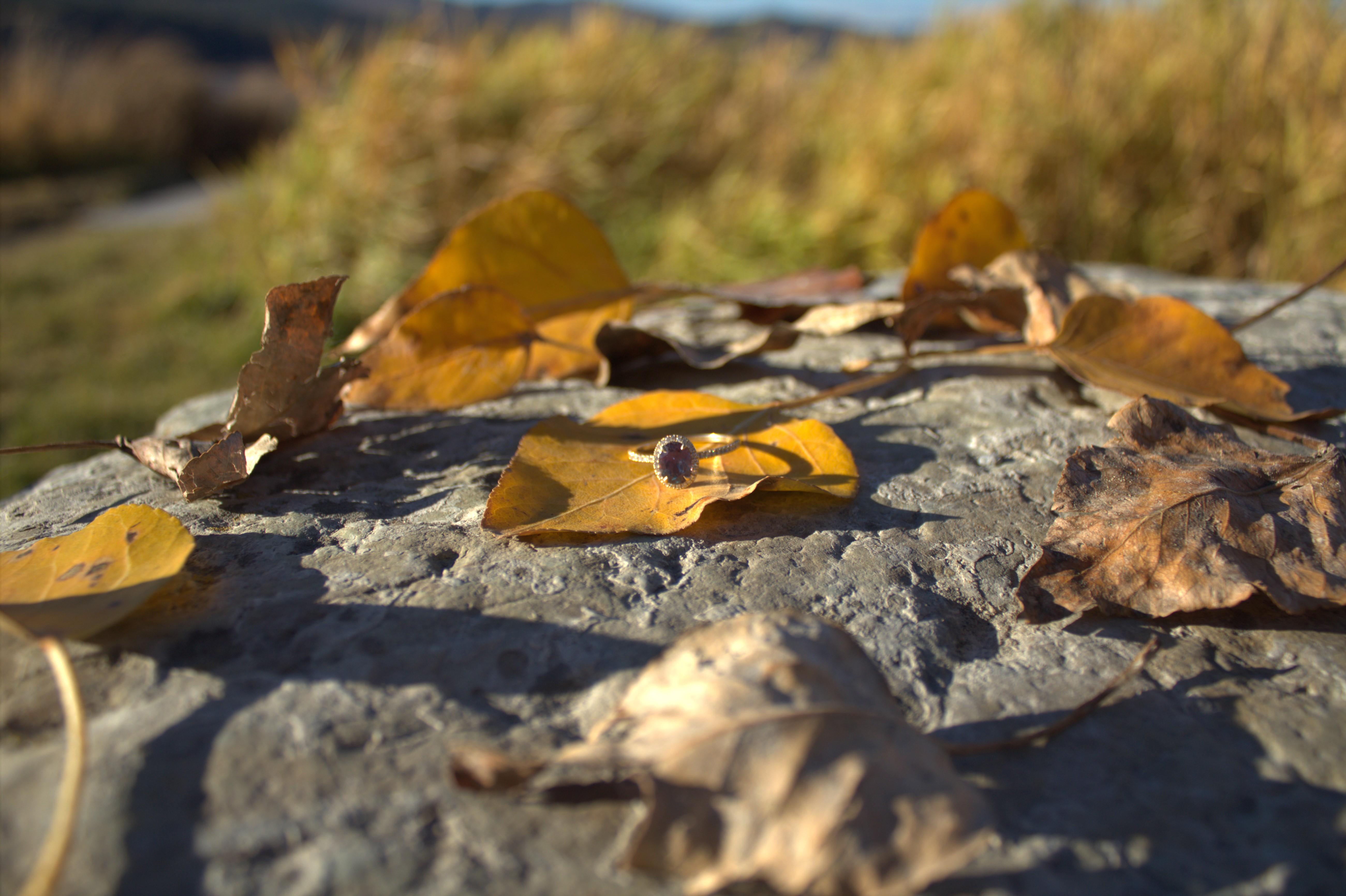 The Wedding Website of Samantha Jacobson and Cody Brown