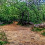 Turkey Mountain