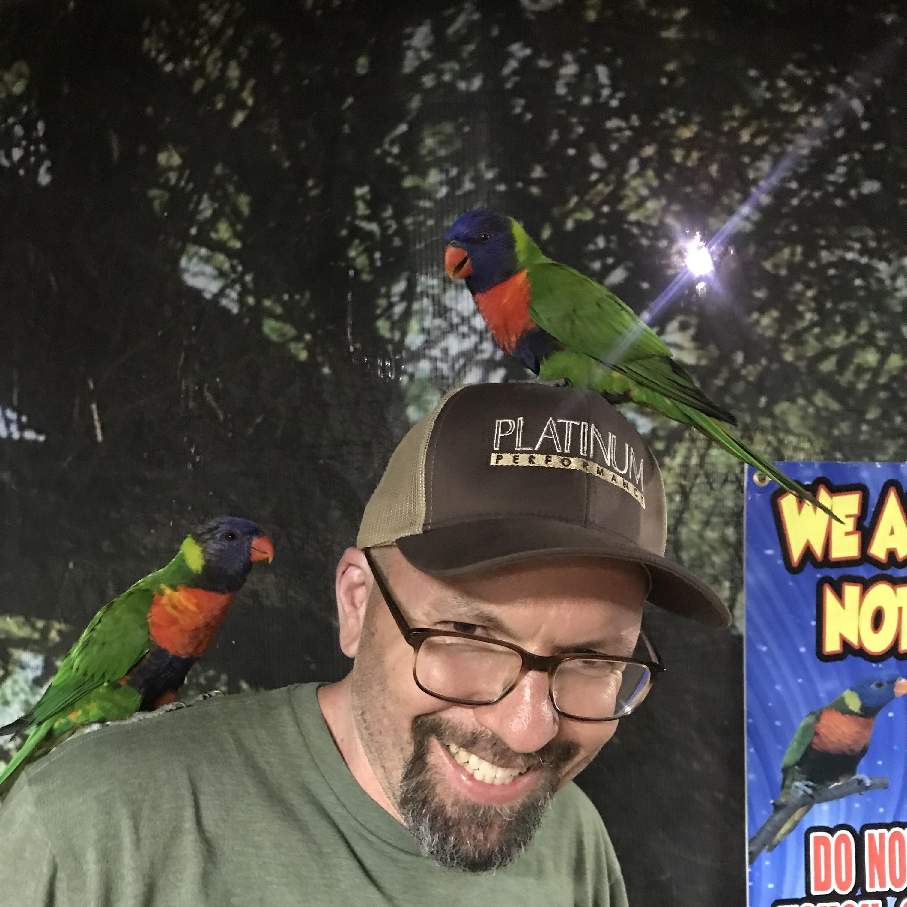 Of course! The birds really like Robyn, the bird I love!